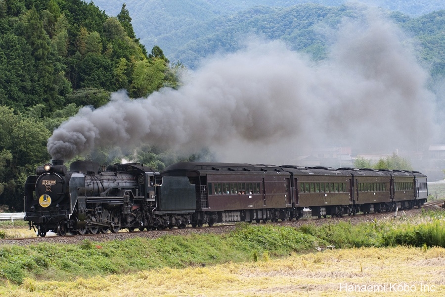 D51+35系4000番台
