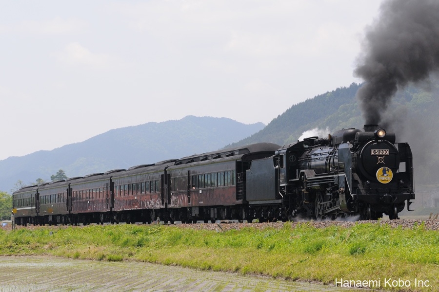 D51+35系4000番台