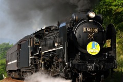 D51+35系4000番台