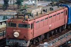 EF81 302号機