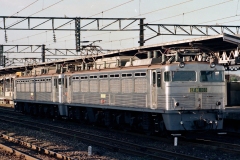 EF81 303号機