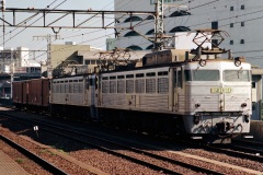 EF81 304号機