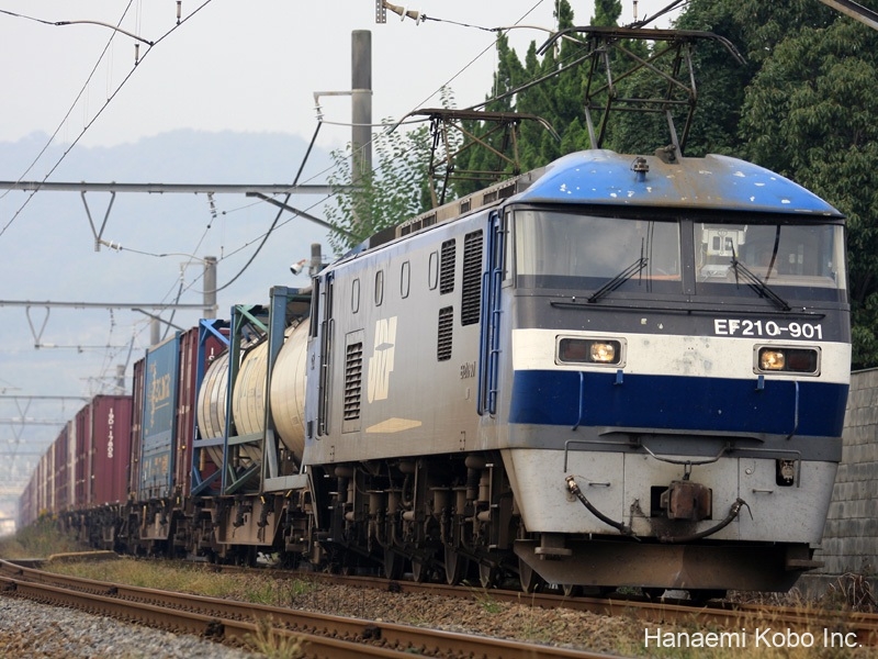 EF210-901_001