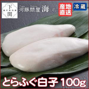 KA-SK100