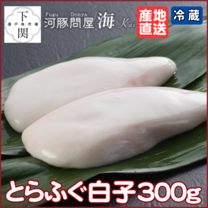KA-SK300