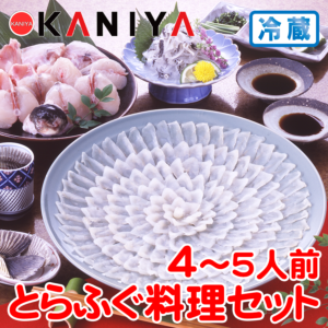 KNY-F01