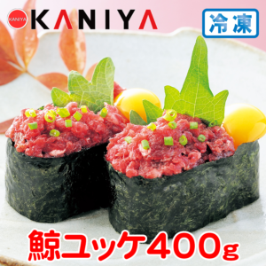 KNY-KU09