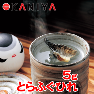KNY-T02